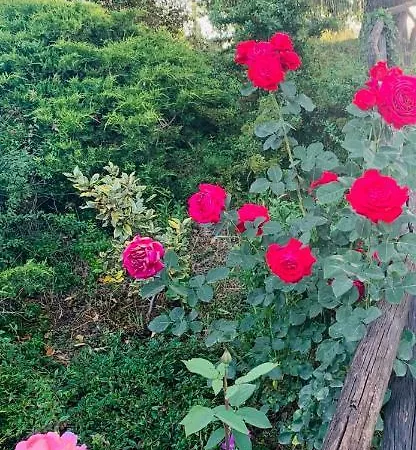 Campagna House Country house